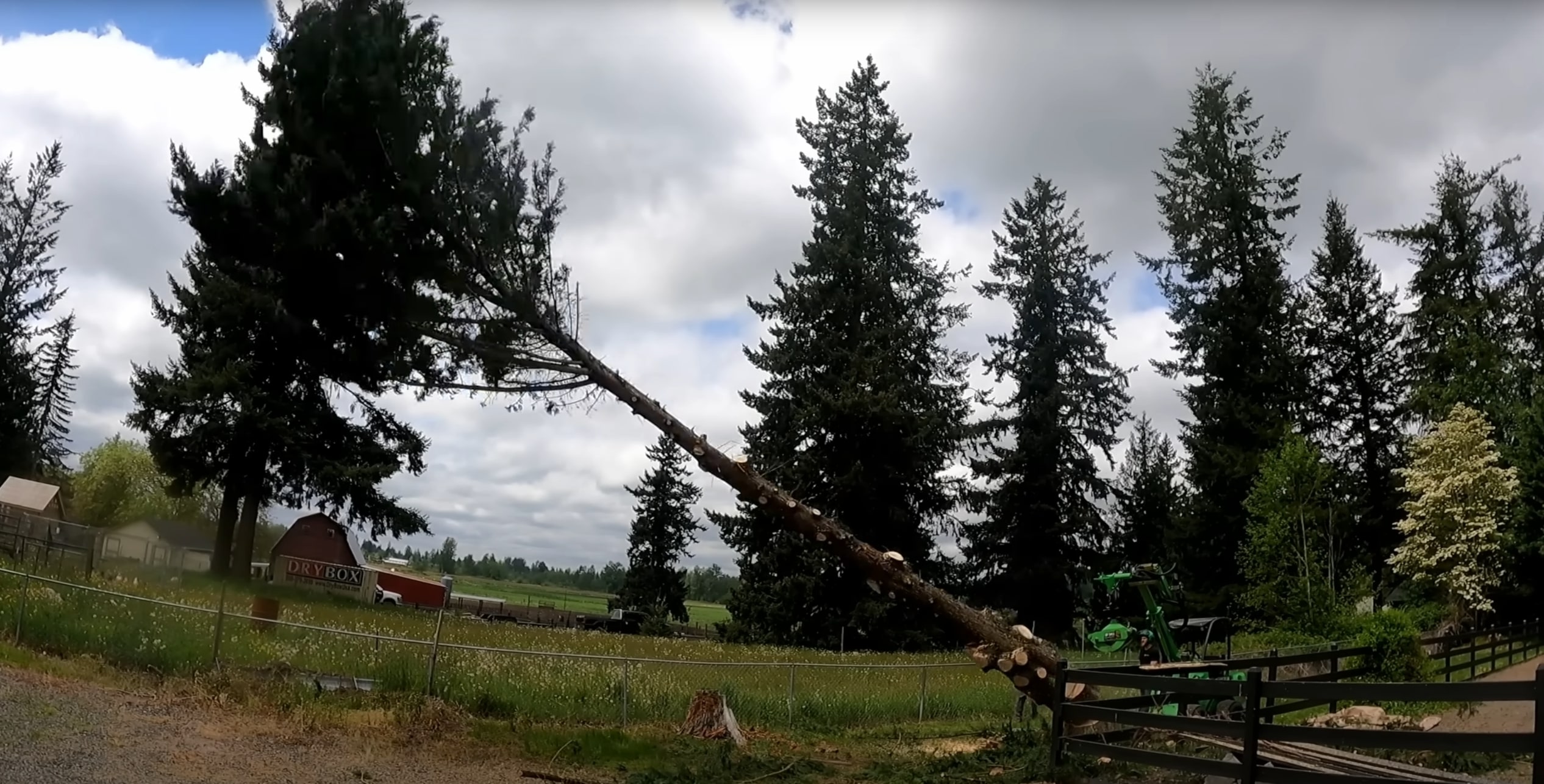 Professional tree removal crane service in Walnut Creek, CA
